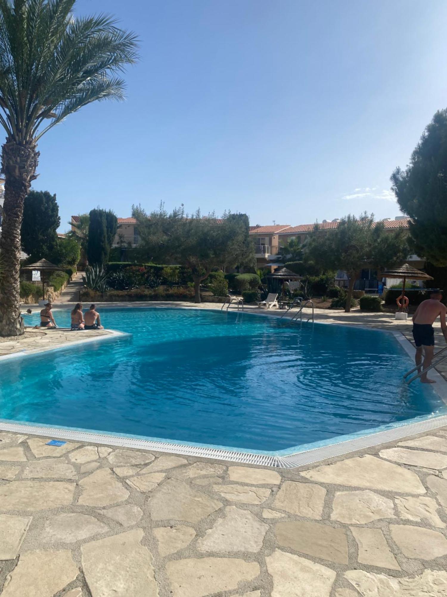 Newly Renovated- Regina Gardens 1, Venus Beach 500 M, Sea&Sunsets View, License Ooo7141 Paphos Esterno foto