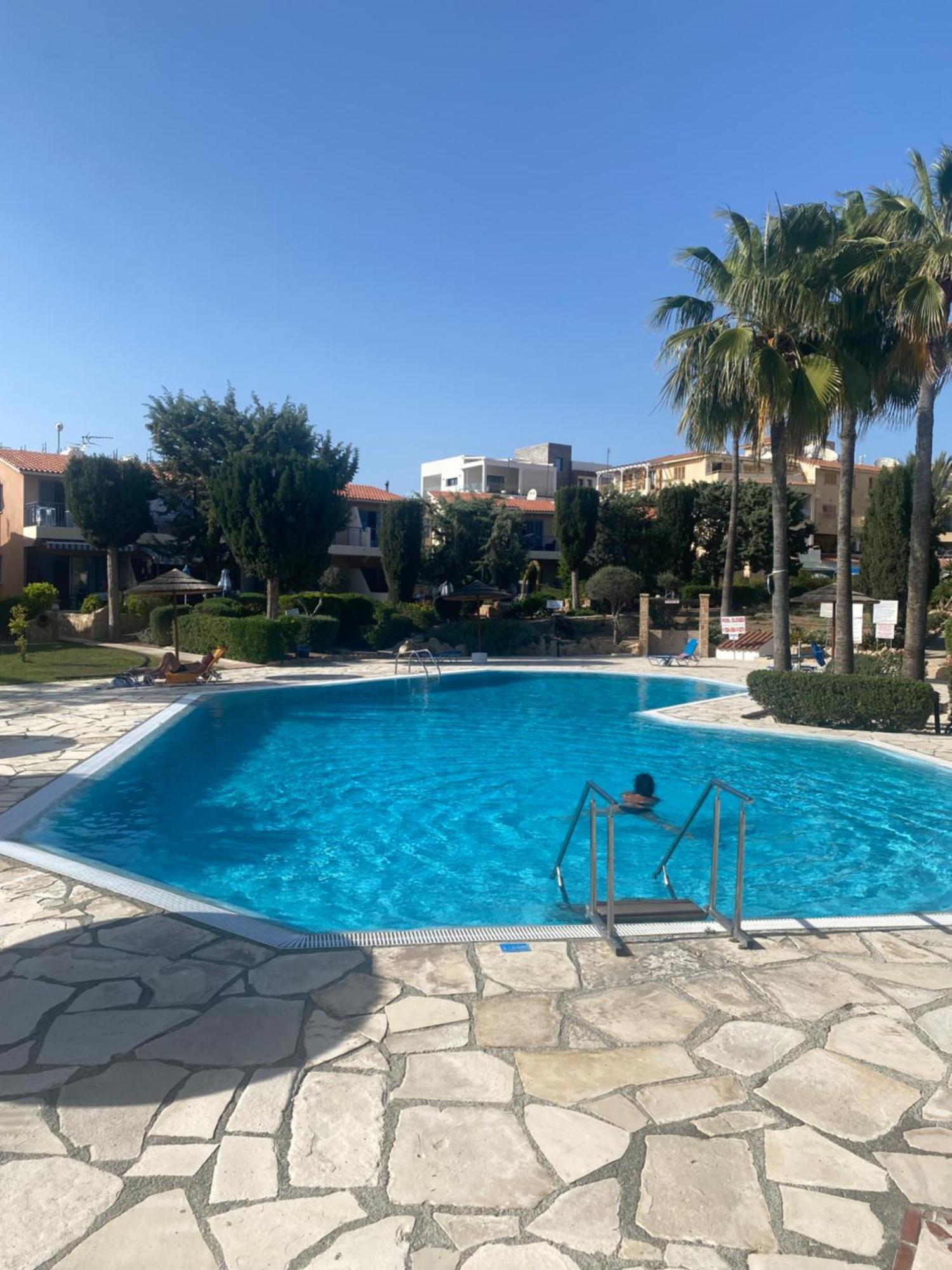 Newly Renovated- Regina Gardens 1, Venus Beach 500 M, Sea&Sunsets View, License Ooo7141 Paphos Esterno foto