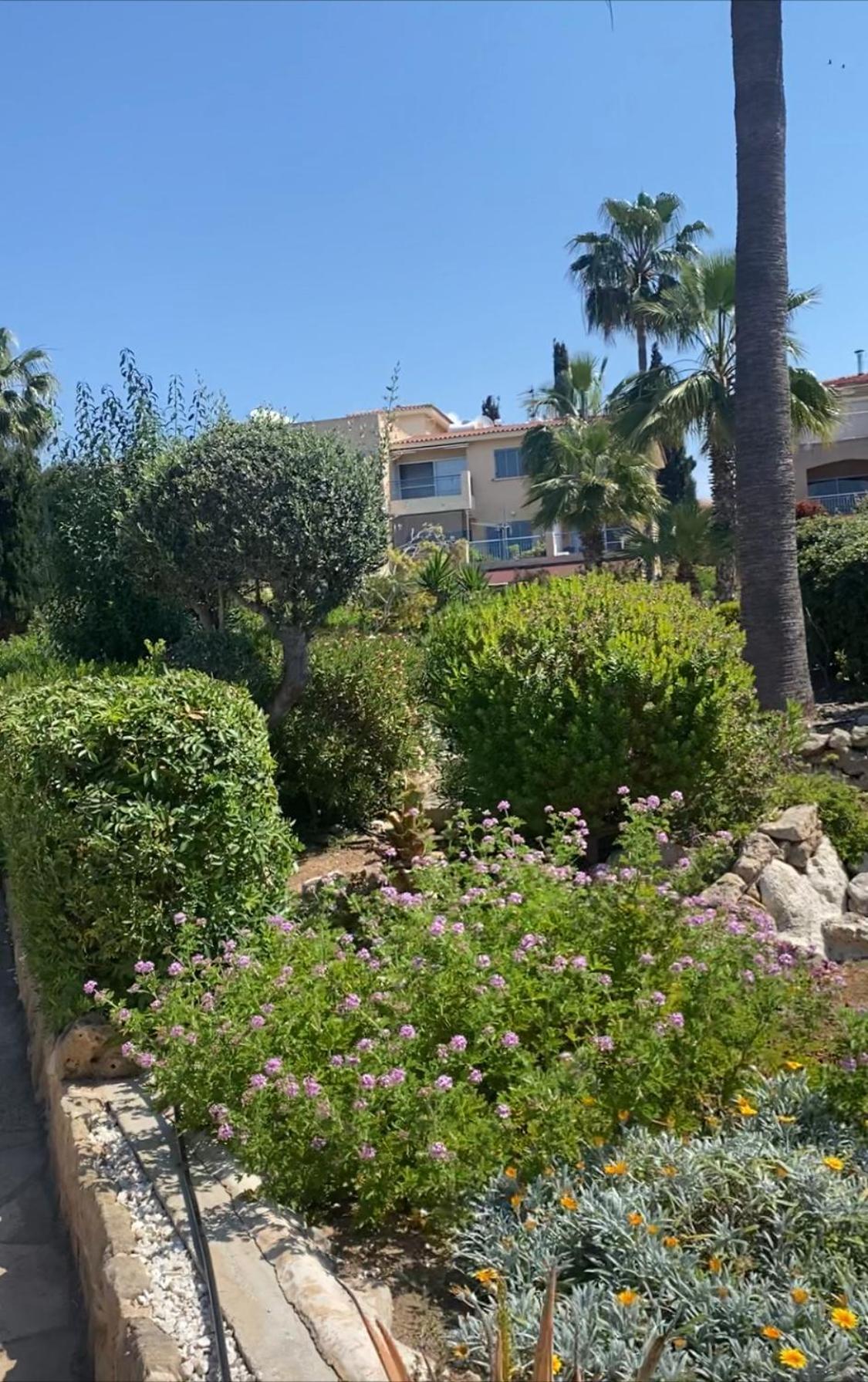 Newly Renovated- Regina Gardens 1, Venus Beach 500 M, Sea&Sunsets View, License Ooo7141 Paphos Esterno foto