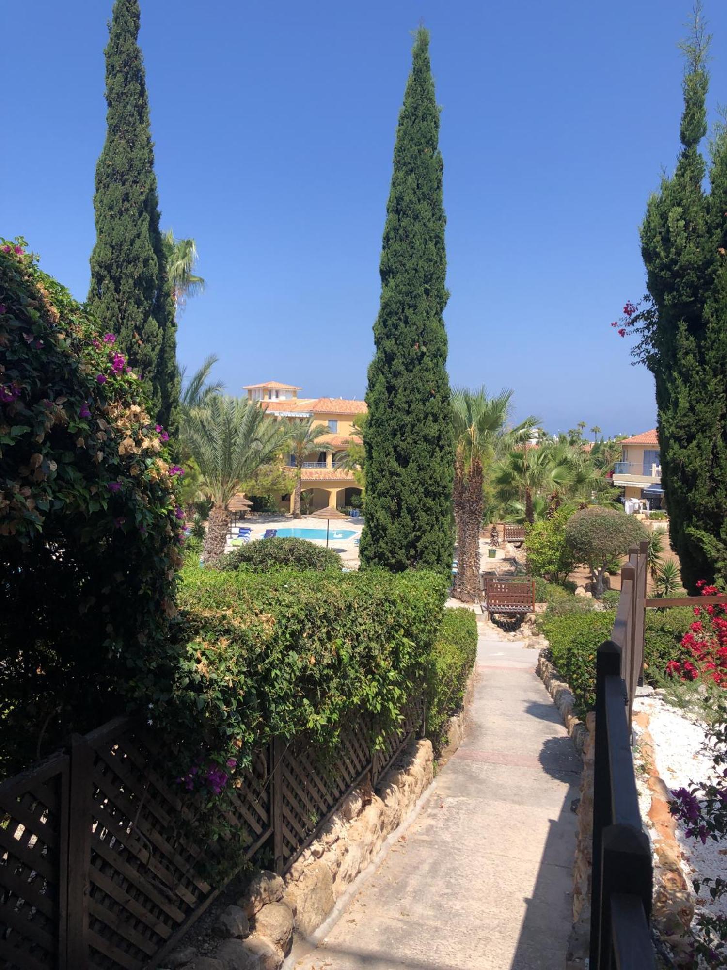 Newly Renovated- Regina Gardens 1, Venus Beach 500 M, Sea&Sunsets View, License Ooo7141 Paphos Esterno foto